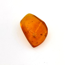 2.77 ct Amber with insect cabochon 15.22 x 12.73 x 5.60 mm