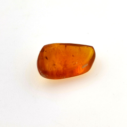 2,77 ct Ámbar con insecto cabujón 15,22 x 12,73 x 5,60 mm