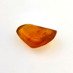 2.77 ct Amber with insect cabochon 15.22 x 12.73 x 5.60 mm