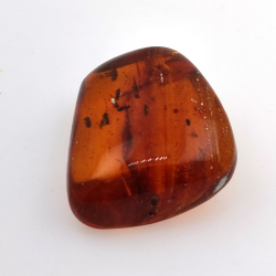 69,43 ct Ámbar con insecto cabujón 38,42 x 31,33 x 15,87 mm