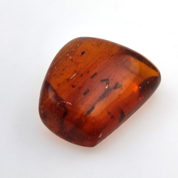 69,43 ct Ámbar con insecto cabujón 38,42 x 31,33 x 15,87 mm