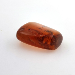 69,43 ct Ámbar con insecto cabujón 38,42 x 31,33 x 15,87 mm
