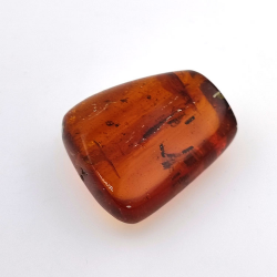 69,43 ct Ámbar con insecto cabujón 38,42 x 31,33 x 15,87 mm