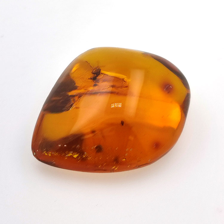 71,26 ct Ámbar con insecto cabujón 43,86 x 37,31 x 17,80 mm