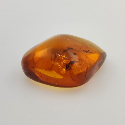 71,26 ct Ámbar con insecto cabujón 43,86 x 37,31 x 17,80 mm