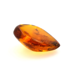 71,26 ct Ámbar con insecto cabujón 43,86 x 37,31 x 17,80 mm
