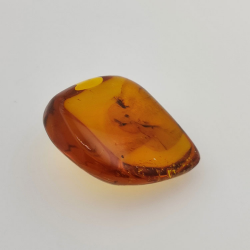 71,26 ct Bernstein mit Insekt Cabochon 43,86 x 37,31 x 17,80 mm