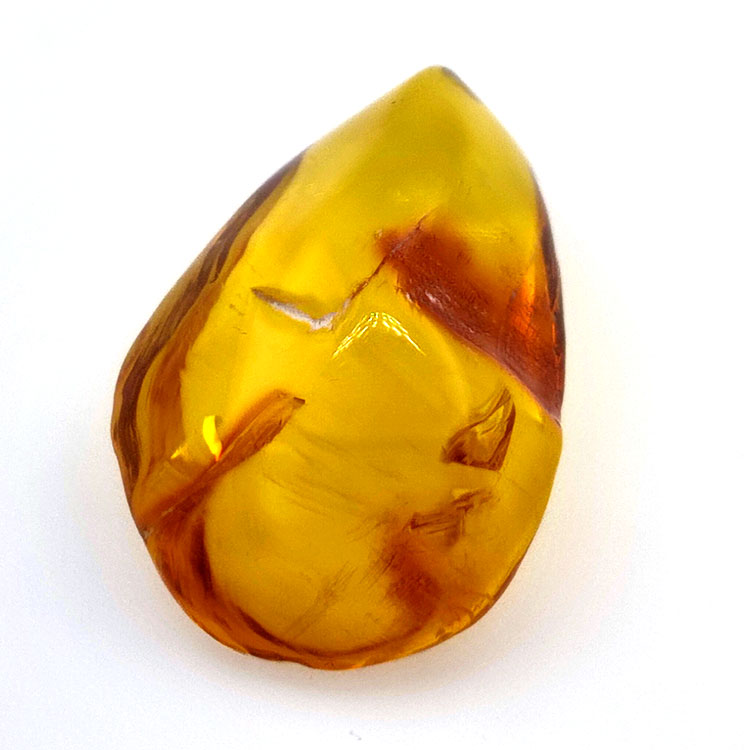 13,52 ct Ámbar con insecto cabujón 28,62 x 18,34 x 10,56 mm