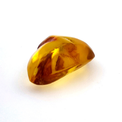 13,52 ct Ámbar con insecto cabujón 28,62 x 18,34 x 10,56 mm