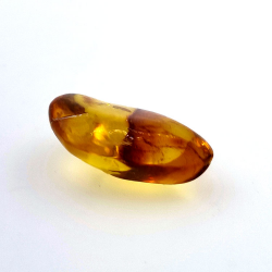 13.52 ct Cabochon Amber with Insect, 28.62 × 18.34 × 10.56 mm