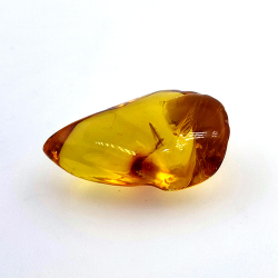 13,52 ct Cabochon Bernstein mit Insekt, 28,62 × 18,34 × 10,56 mm