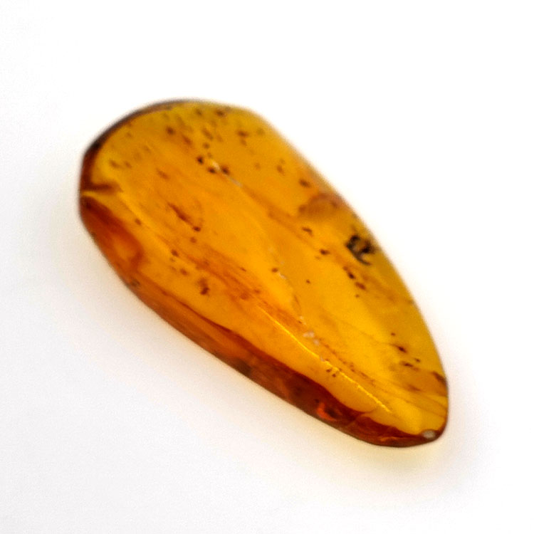 15,37 ct Cabochon Bernstein mit Insekt, 38,10 × 19,18 × 7,34 mm