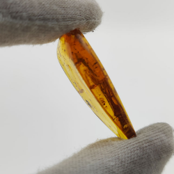 15,37 ct Ámbar con insecto cabujón 38,10 x 19,18 x 7,34 mm