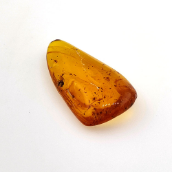 15,37 ct Ámbar con insecto cabujón 38,10 x 19,18 x 7,34 mm