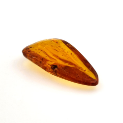 15,37 ct Ámbar con insecto cabujón 38,10 x 19,18 x 7,34 mm