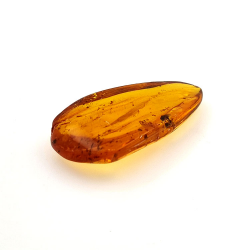 15,37 ct Ámbar con insecto cabujón 38,10 x 19,18 x 7,34 mm