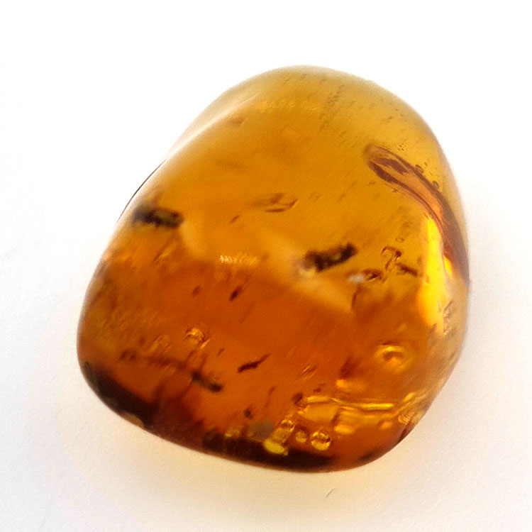 16,28 ct Ámbar con insecto cabujón 25,69 x 17,25 x 12,22 mm