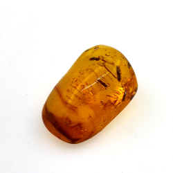 16,28 ct Ámbar con insecto cabujón 25,69 x 17,25 x 12,22 mm