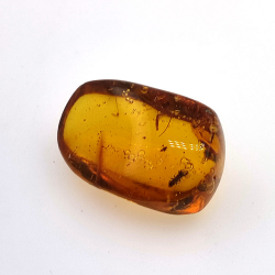 16,28 ct Ámbar con insecto cabujón 25,69 x 17,25 x 12,22 mm