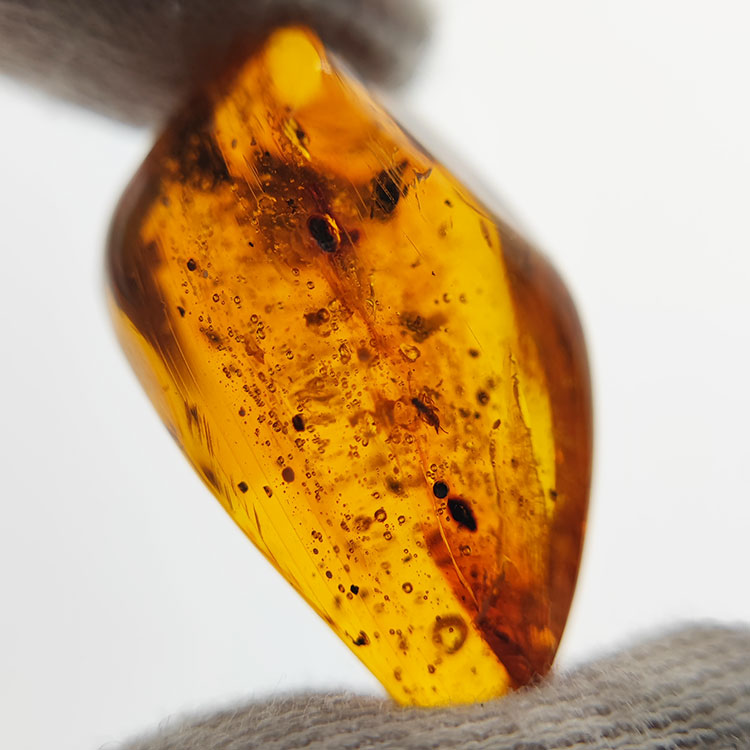 16,97 ct Ambre avec insecte cabochon 29,28 x 15,78 x 13,46 mm