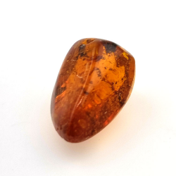 16,97 ct Ámbar con insecto cabujón 29,28 x 15,78 x 13,46 mm