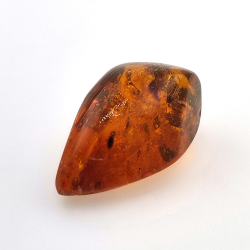 16,97 ct Ámbar con insecto cabujón 29,28 x 15,78 x 13,46 mm