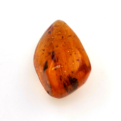16,97 ct Ámbar con insecto cabujón 29,28 x 15,78 x 13,46 mm