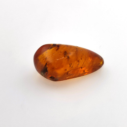 16,97 ct Ámbar con insecto cabujón 29,28 x 15,78 x 13,46 mm