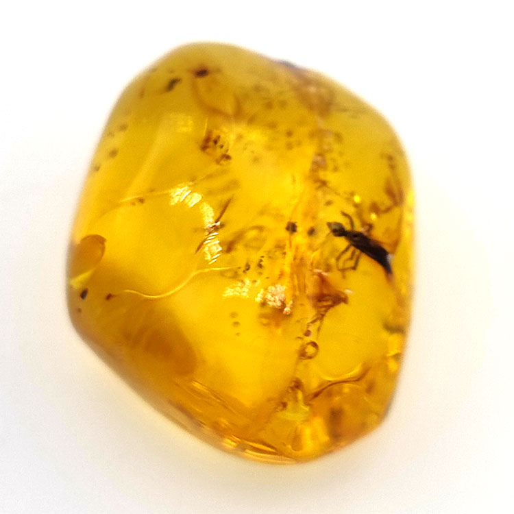 25,52 ct Ámbar con insecto cabujón 28,64 x 21,02 x 13,46 mm
