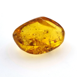 25,52 ct Ámbar con insecto cabujón 28,64 x 21,02 x 13,46 mm