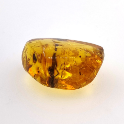 25,52 ct Ambra con insetto cabochon 28,64 x 21,02 x 13,46 mm