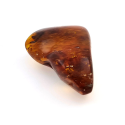 77,03 ct Ambra con insetto cabochon 54,22 x 34,87 x 16,63 mm