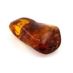 77,03 ct Ámbar con insecto cabujón 54,22 x 34,87 x 16,63 mm