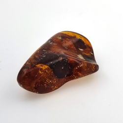 77,03 ct Ambre avec insecte cabochon 54,22 x 34,87 x 16,63 mm
