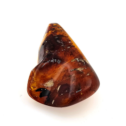 77,03 ct Ambra con insetto cabochon 54,22 x 34,87 x 16,63 mm