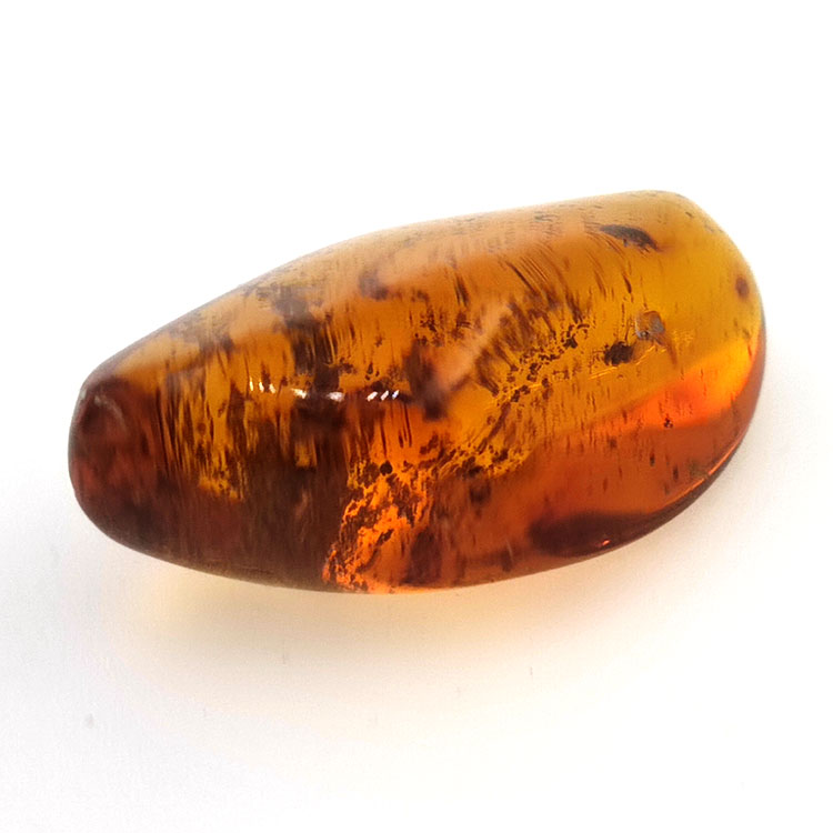 22,41 ct Ámbar con insecto cabujón 33,67 x 19,94 x 13,28 mm
