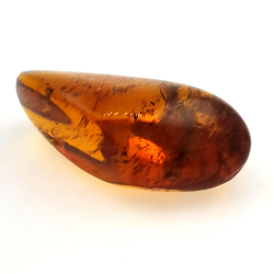 22,41 ct Ámbar con insecto cabujón 33,67 x 19,94 x 13,28 mm
