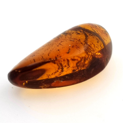 22,41 ct Ámbar con insecto cabujón 33,67 x 19,94 x 13,28 mm
