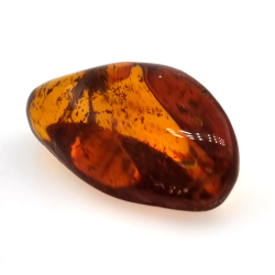22,41 ct Ambre avec insecte cabochon 33,67 x 19,94 x 13,28 mm
