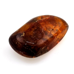63,52 ct Ámbar con insecto cabujón 43,38 x 27,52x 15,45 mm
