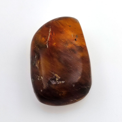 63,52 ct Ámbar con insecto cabujón 43,38 x 27,52x 15,45 mm