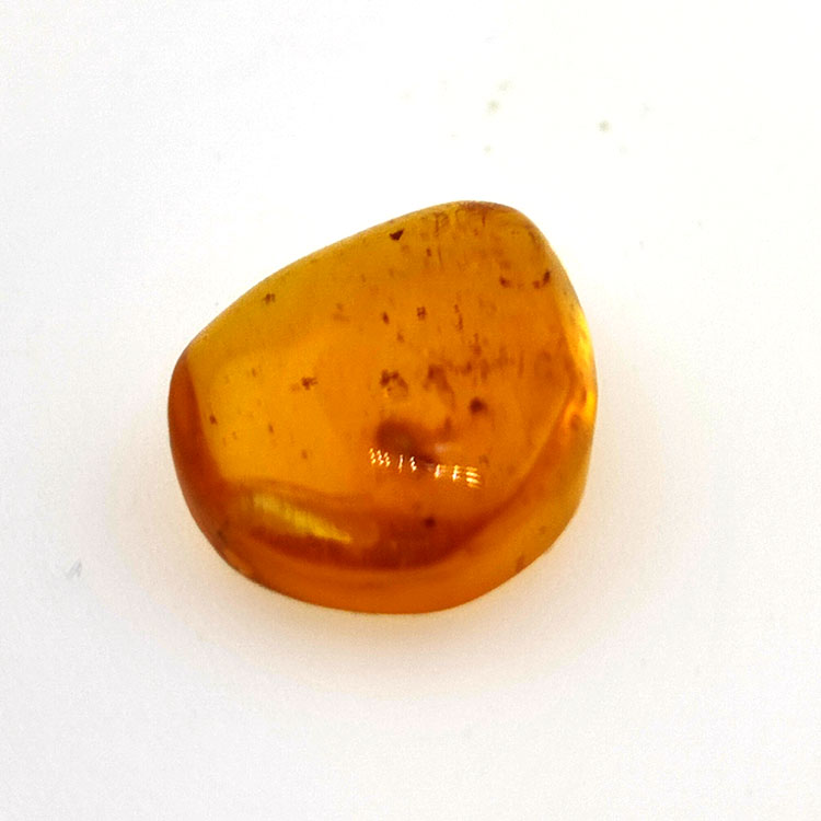 2,52 ct Ámbar con insecto cabujón 14,18 x 11,60 x 5,03 mm