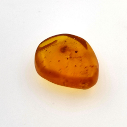 2,52 ct Ámbar con insecto cabujón 14,18 x 11,60 x 5,03 mm