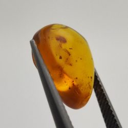 2,52 ct Ámbar con insecto cabujón 14,18 x 11,60 x 5,03 mm