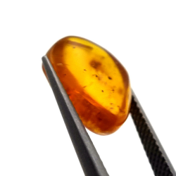 2,52 ct Ámbar con insecto cabujón 14,18 x 11,60 x 5,03 mm