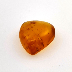 2.52 ct Amber with insect cabochon 14.18 x 11.60 x 5.03 mm