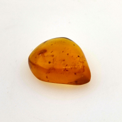 2,52 ct Ámbar con insecto cabujón 14,18 x 11,60 x 5,03 mm
