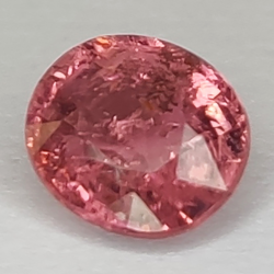 1.46ct Turmalina Talla Oval 6.96x6.25x4.81mm