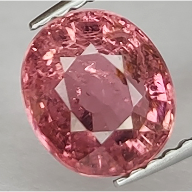 1,46 ct Tormalina Taglio Ovale 6,96x6,25x4,81 mm
