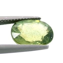 4.24 ct Apatito Verde Talla Ovalada